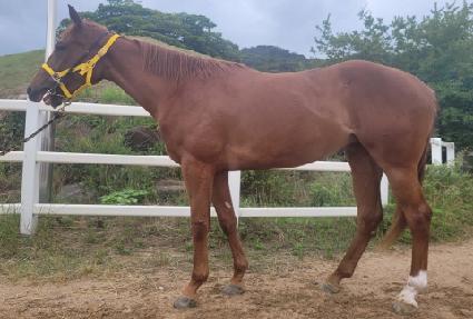 ����ī�� ����