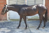 ���õ����� (SERYEONDOENWISUN) ����