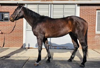 ������� ����