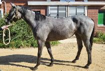 ���ǿ��� (SEONGSIL WORLD) ����