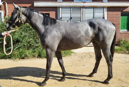 ���ǿ��� ����