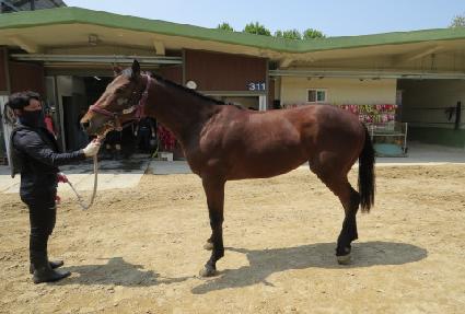 ���ǻ����ù� ����