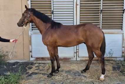 �Ŀ����� ����