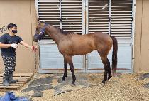 ���̴��� (DAINYJI) ����