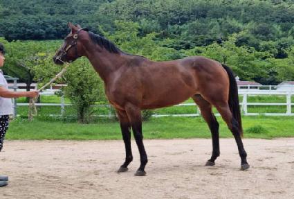 �ٺ������� ����