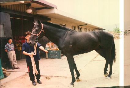 ���̳� ����