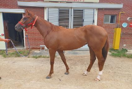 �۷ι����� ����