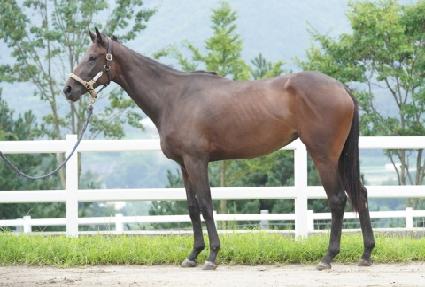 �����ظ� ����