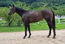 ��Ű������ (LOKI BLISS) ����