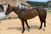 �����丣 (ALPHA THOR) ����