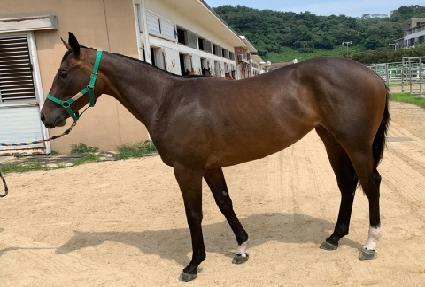 �����丣 ����