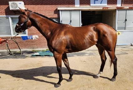 ���ϺҸ� ����