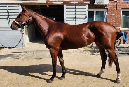 ���Ͻ����� ����