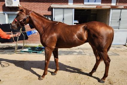 ���������ε� ����