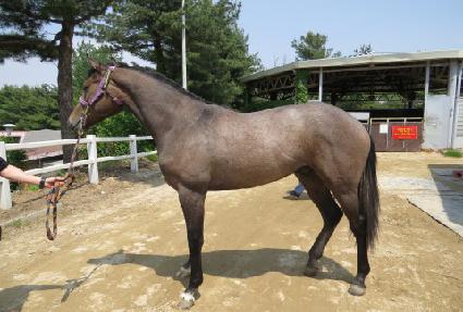 ������ ����