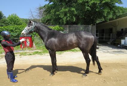 ��彺�Ǵ� ����