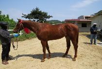 ��������� (YEONHUI HERO) ����