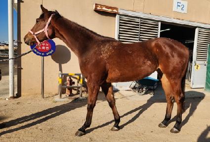 �̺�ʽ� ����