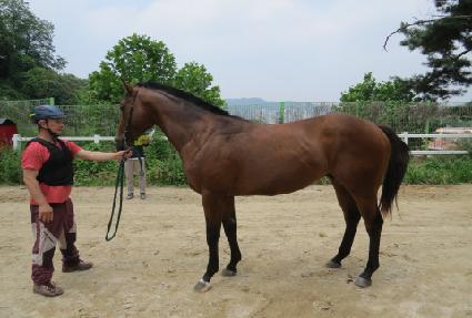 �̽��ͽ��� ����