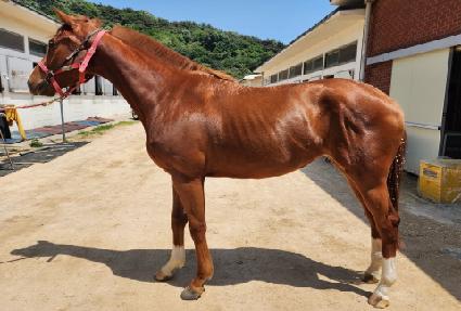 ���̾Ƶ� ����