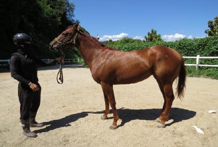 �̽���� ����