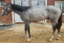 �������� (BEOLGYOUI HIM) ����