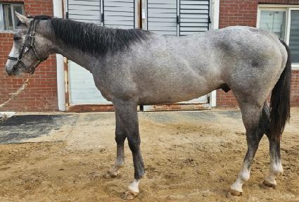 �������� ����