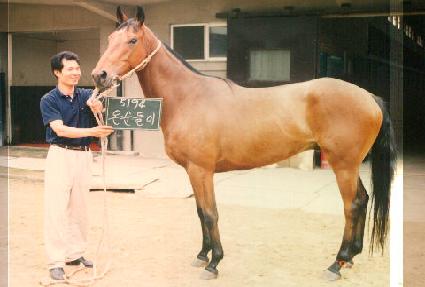 �¼����� ����