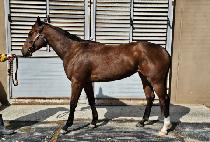 ǻ��� (PURE MARINE) ����