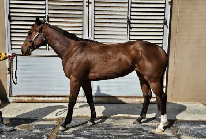 ǻ��� ����