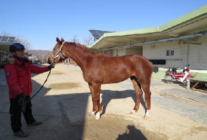 ��õ���� ����