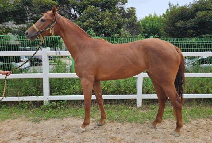 ��õ������ ����