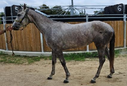 �����̸��� ����