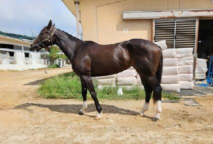 ����Ǯ���̺� ����