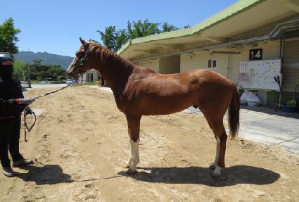 �ż����� ����