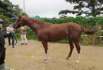 ��Ű���� (LUCKY DAY) ����