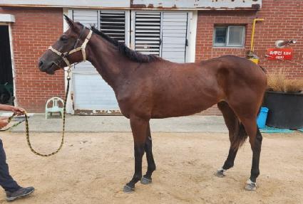 �뼺���� ����