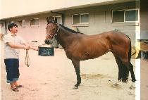 ���� (MA RYEK) ����