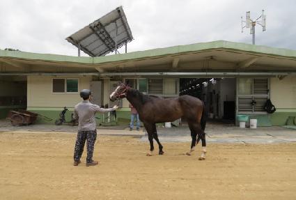 ���Ʒ��̿� ����