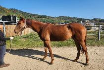 �����ӵ帲 (PRIME DREAM) ����