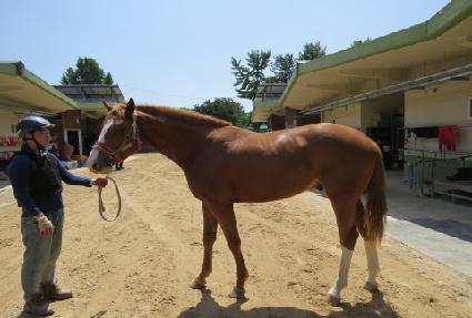 ����ũ��� ����