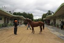 �����Ǳ�� (GWANGGYOUI GISANG) ����