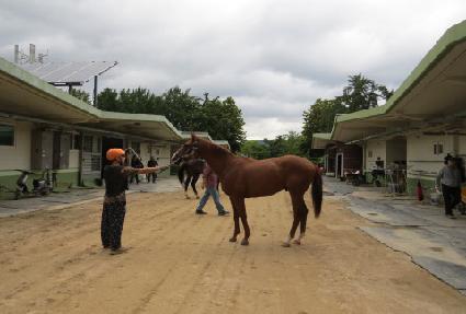 �����Ǳ�� ����