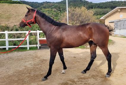 ���ƽý���Ű ����