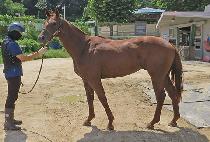 �����̵����� (POSEIDON BLUE) ����