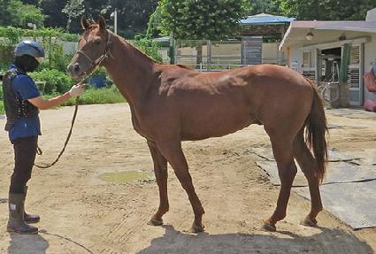 �����̵����� ����