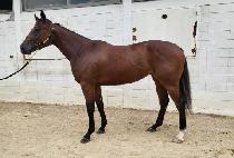 ��Ű��Ʈ�� (LUCKIEST GIRL) ����