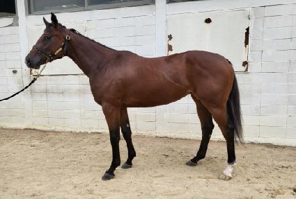 ��Ű��Ʈ�� ����