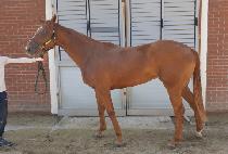 ������� (ANOTHER MARINE) ����