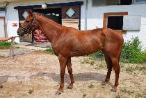 ��ī��Ÿ (LA CARTA) ����